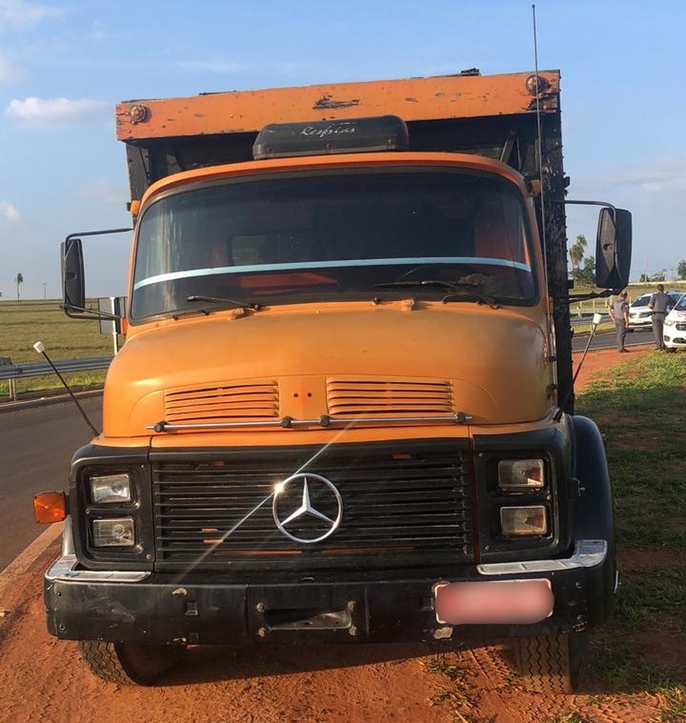 Quatro homens foram presos em flagrante transportando 21 cabeças de gado em carreta em Espírito Santo do Turvo — Foto: Diogo Nolasco/TV TEM