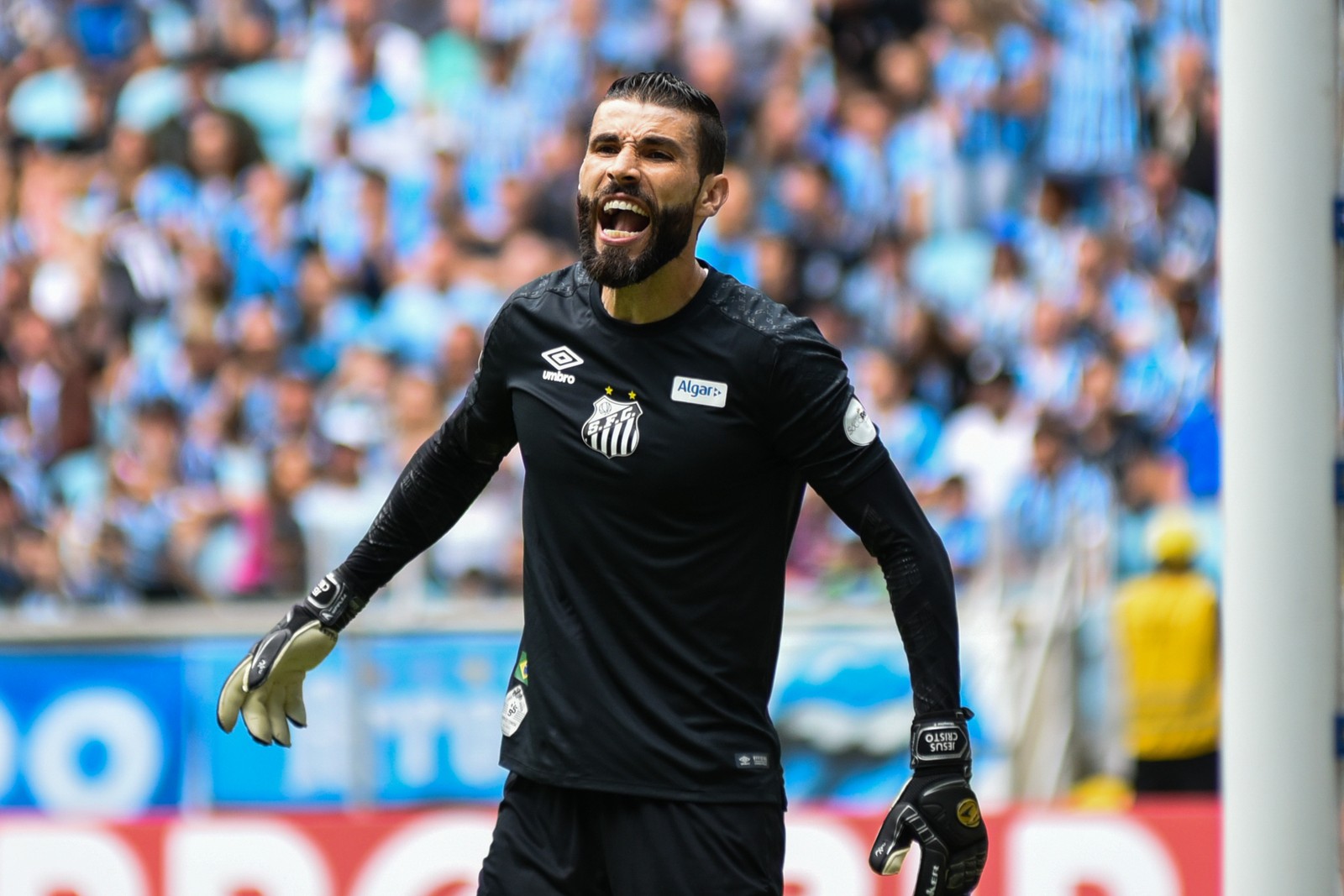 Grêmio acerta detalhes com Coritiba para anunciar Vanderlei