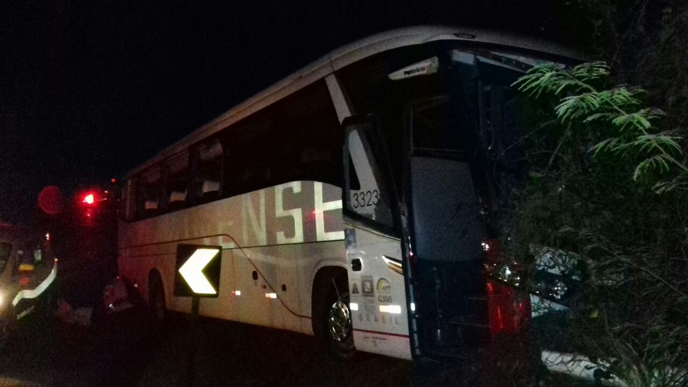 Cinco passageiros que estavam no ônibus ficaram feridos  (Foto: Divulgação/PRF)