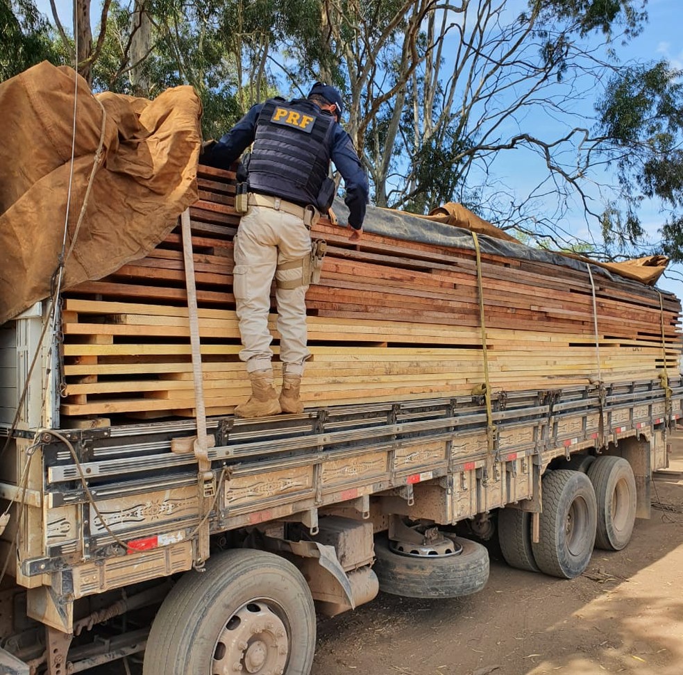 Foram apreendidos mais de 17 m³ de madeira serrada ilegal  — Foto: PRF/Divulgação