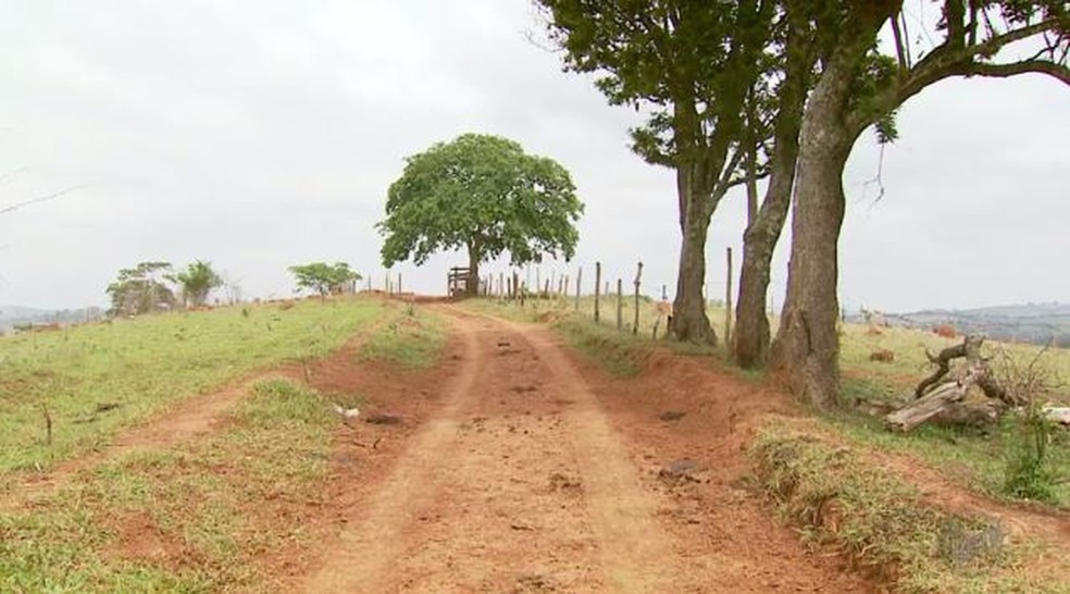 Jovem foi encontrado morto decapitado em estrada vicinal de Elói Mendes (MG) em 2017 (Foto: Arquivo/Reprodução/EPTV)