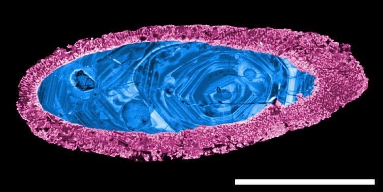 Um cristal de zircão usado para datar o impacto de Yarrabubba. A margem (rosa) recristalizou durante o impacto, deixando o núcleo interno (azul) intacto (Foto: Nature Communications)