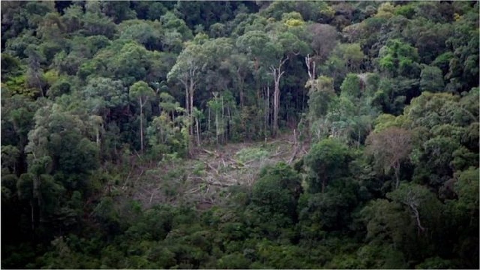 Meio ambiente e a preservação da Amazônia em pauta — Foto: BBC
