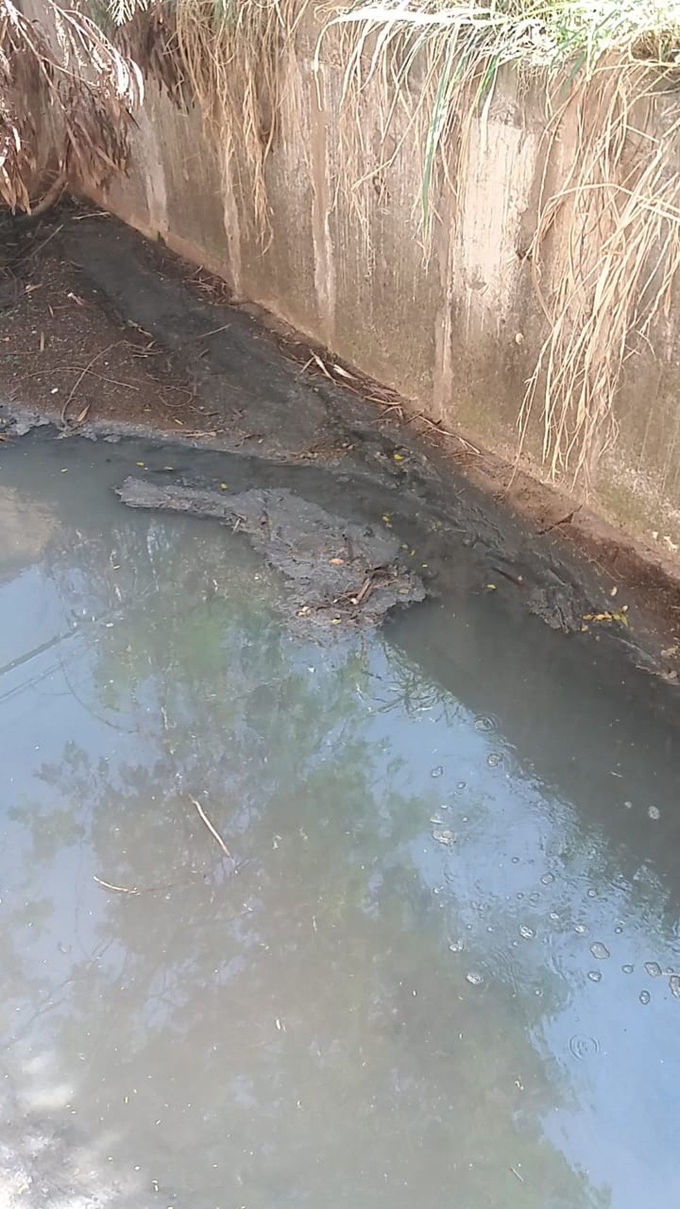 Moradores reclamam de esgoto a céu aberto em parque ecológico de Presidente Prudente (SP) — Foto: Cedida