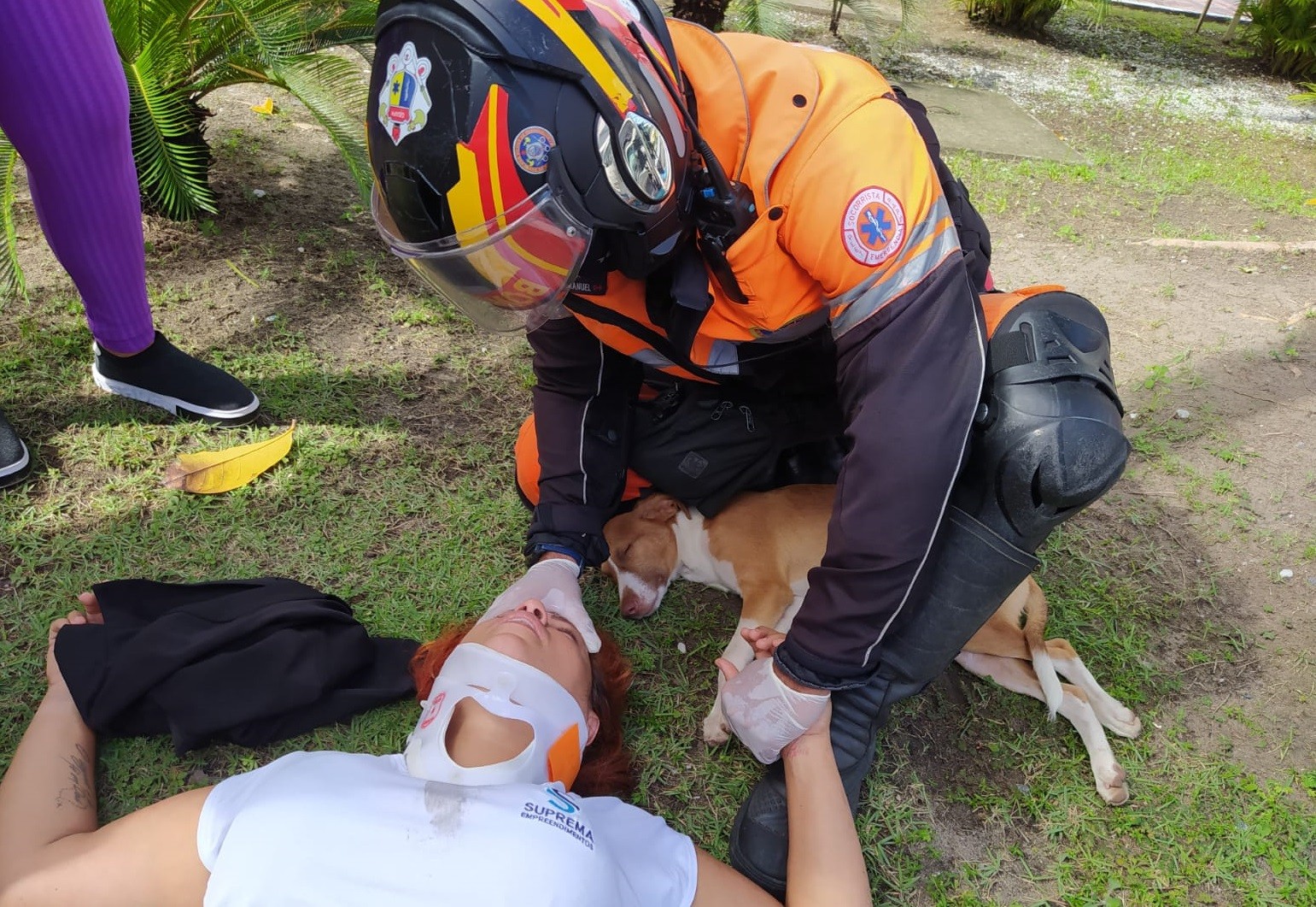 Mulher cai de moto ao desviar de cão que atravessava avenida e animal fica ao lado dela durante primeiros socorros dos bombeiros