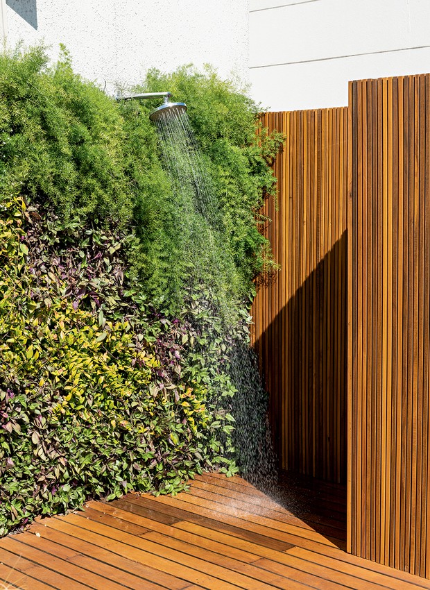Jardim vertical criado a partir de pequenos vasos com aspargo, lambari-roxo, véu-de-noiva e columeia para o chuveirão (Foto: Renato Navarro / Divulgação)