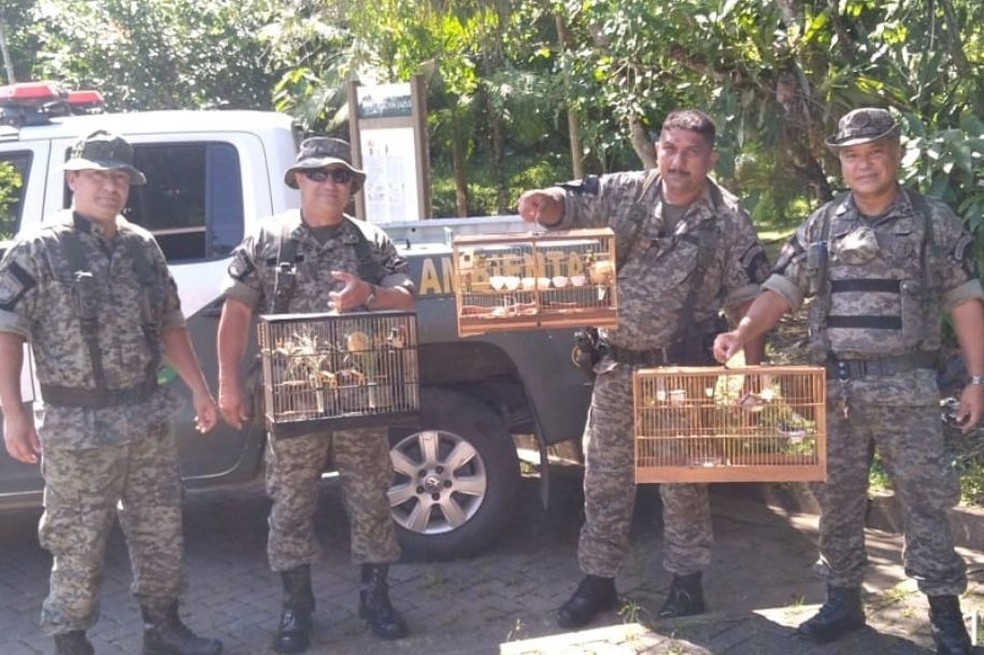 GCM Ambiental de São Vicente soltou os pássaros na mata do Parque Estadual Xixová-Japuí — Foto: Divulgação/Prefeitura de São Vicente