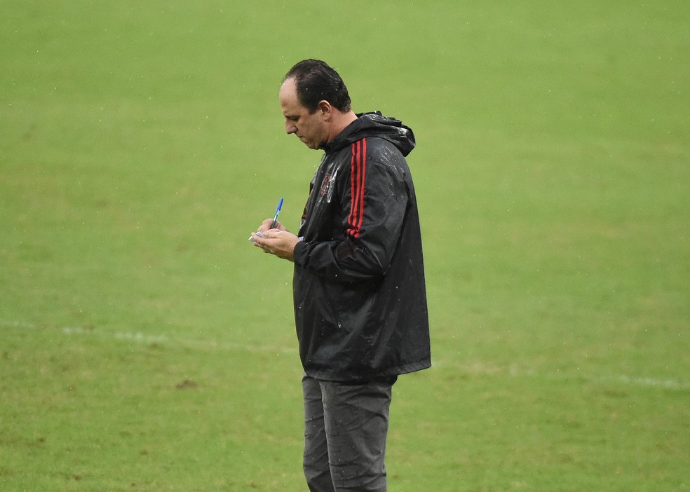 Rogério Ceni, Flamengo x Palmeiras — Foto: André Durão / ge