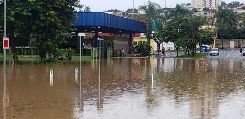 Chuva alagou casas em Monte Mor — Foto: Ricardo Rage