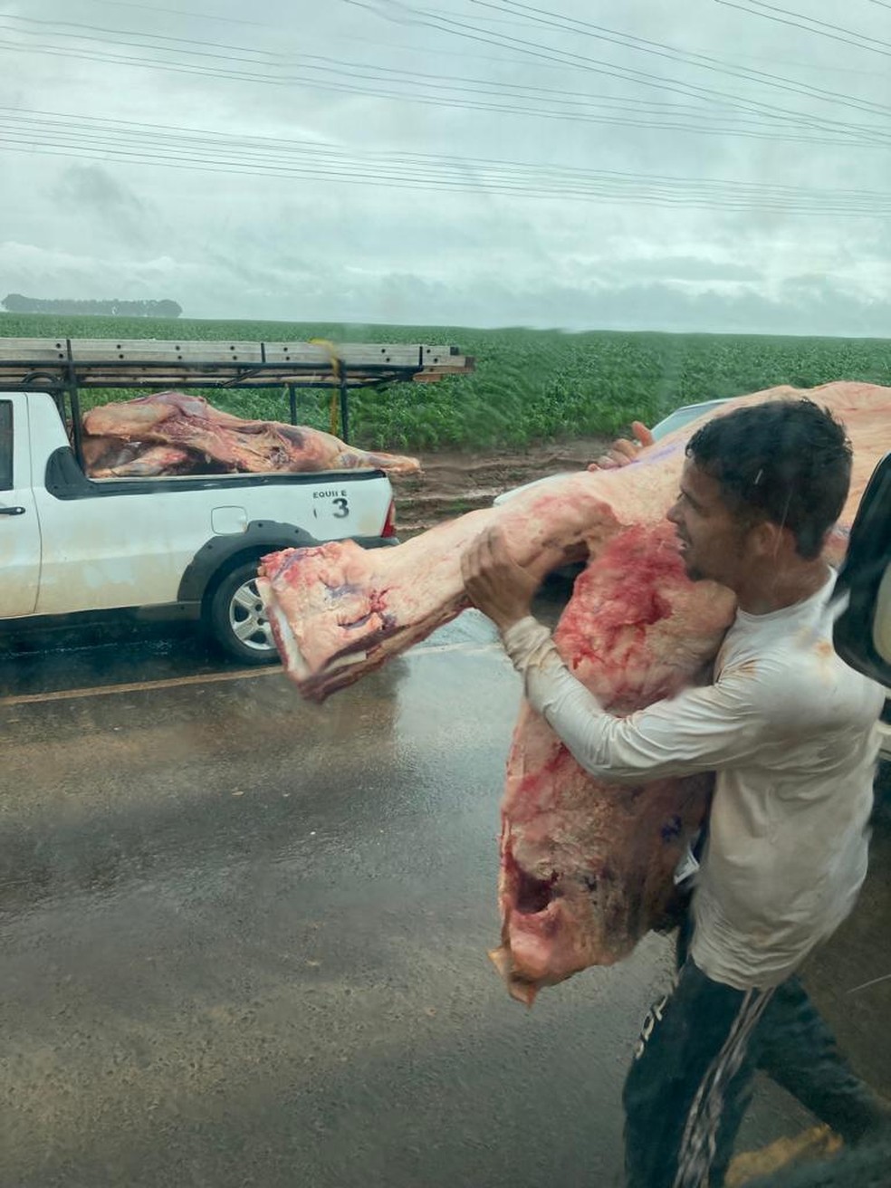 Moradores levam peças de carne inteiras — Foto: Divulgação