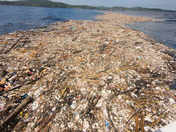 O 'mar de plástico' no litoral de Honduras tem 8,2km de extensão