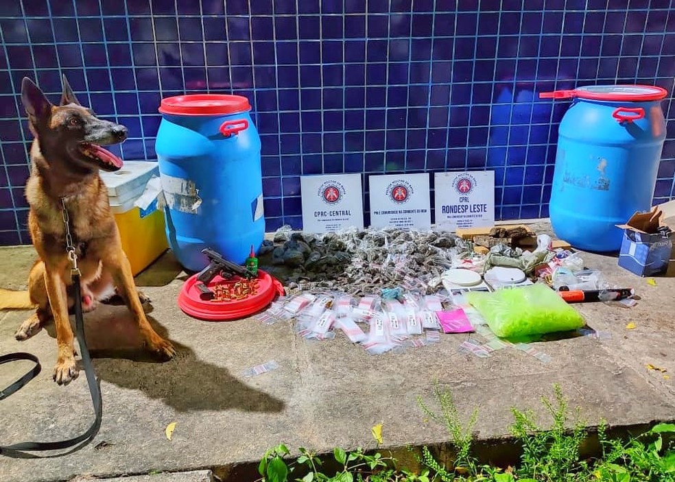 Homem &eacute; preso com arma e drogas em opera&ccedil;&atilde;o com ajuda de c&atilde;o farejador na Bahia &mdash; Foto: Divulga&ccedil;&atilde;o/SSP-BA