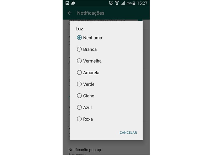 Desativando a luz de notificação do WhatsApp (Foto: Reprodução/Lívia Dâmaso)