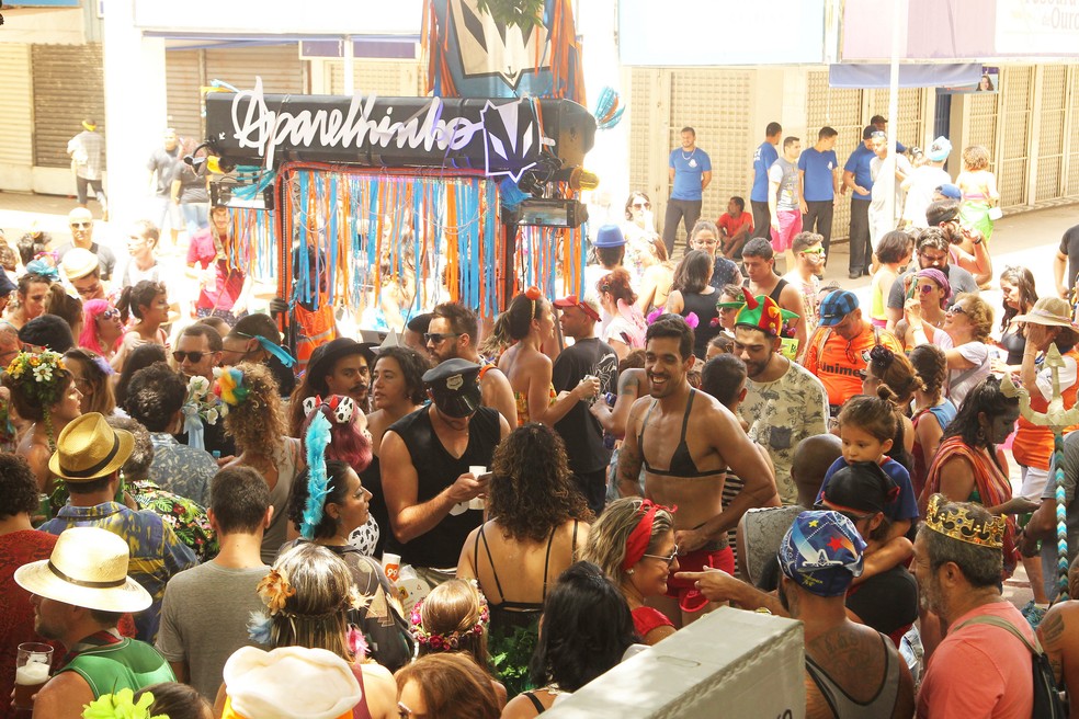Foliões se uniram no Setor Comercial Sul para acompanhar o sexto ano de carnaval do Aparelhinho — Foto: Toninho Tavares/Agência Brasília
