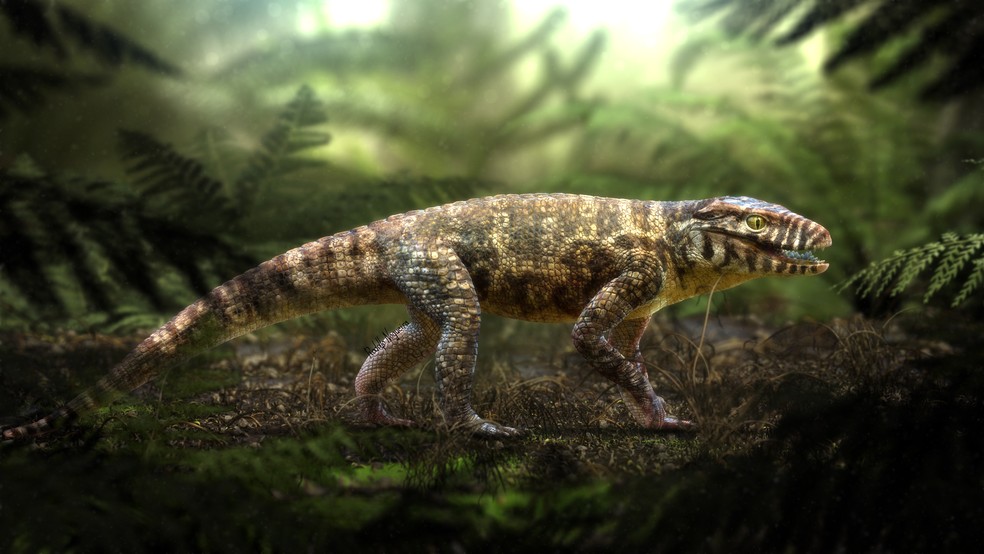 Paleoartista Rodolgo Nogueira fez uma ilustraÃ§Ã£o de como seria o crocodilo â€” Foto: Rodolfo Nogueira/DivulgaÃ§Ã£o
