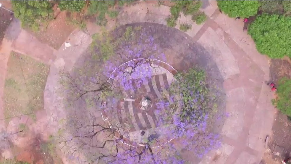 Corintianos se mobilizam para revitalização de praça na Zona Leste que homenageia o clube