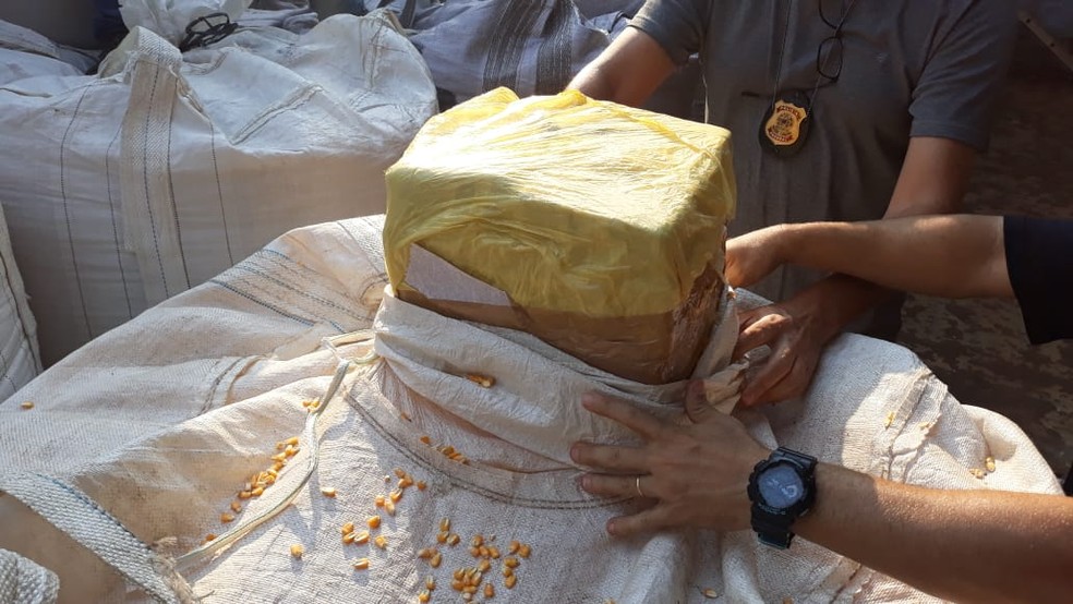 Operação da PF apreende carregamento de cocaína em navio no porto de São Sebastião — Foto: Divulgação/ Polícia Federal