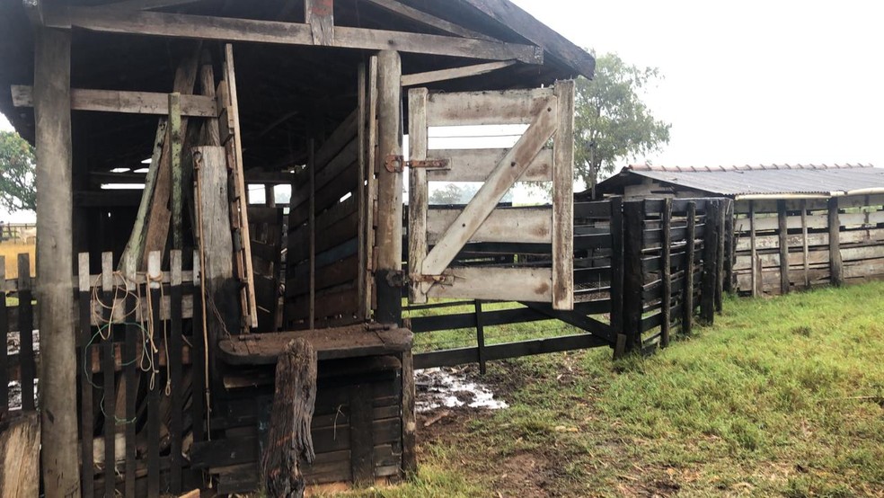 Sítio em Paraguaçu Paulista foi invadido na madrugada da última terça-feira e 20 animais foram levados — Foto: Arquivo pessoal