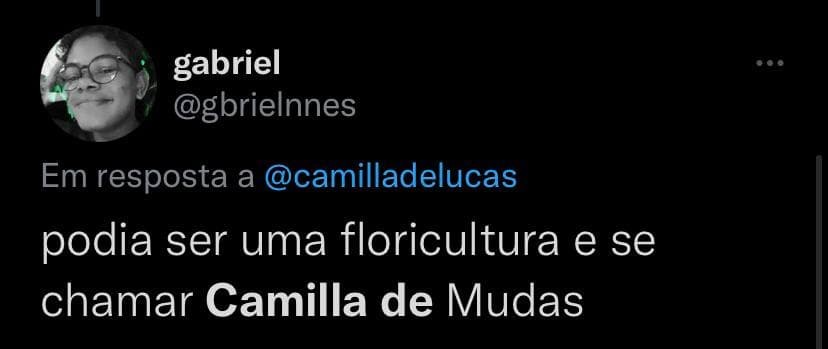Fãs brincam com nome de Camilla de Lucas no Twitter (Foto: Reprodução / Twitter)