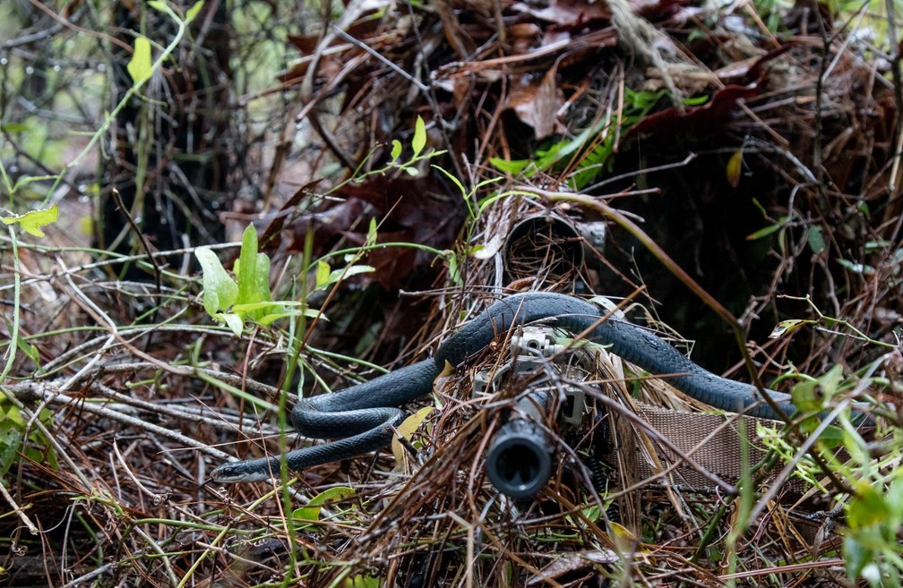 Cobra passa por arma de atirado de elite durante treinamento (Foto: Sgt. William Frye/ Alabama National Guard)