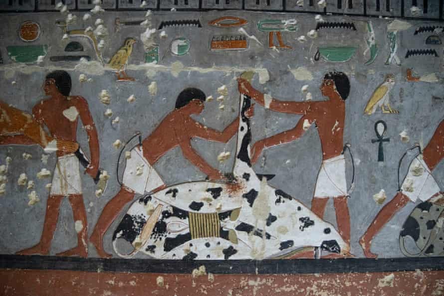 Pintura na parede da tumba de Khuwy, um alto funcionário do governo do faraó Djedkare Isesi  (Foto:  Ian Glatt / National Geographic / Windfall Films)