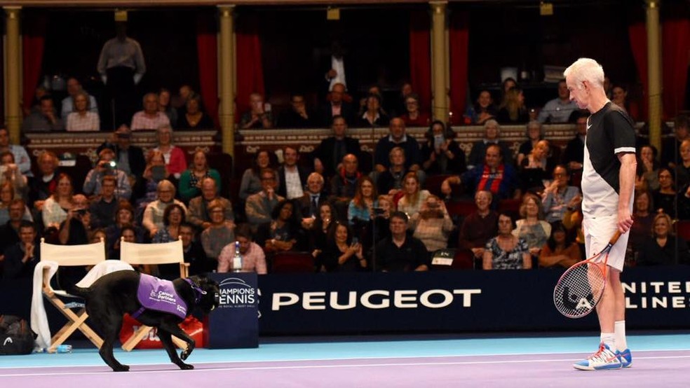 McEnroe encara cãodula no jogo de duplas — Foto: Divulgação/Champions Tour