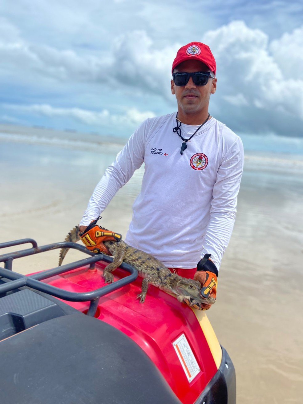 Filhote de jacaré é flagrado na Praia do Calhau em São Luís — Foto: Divulgação/BBMAR