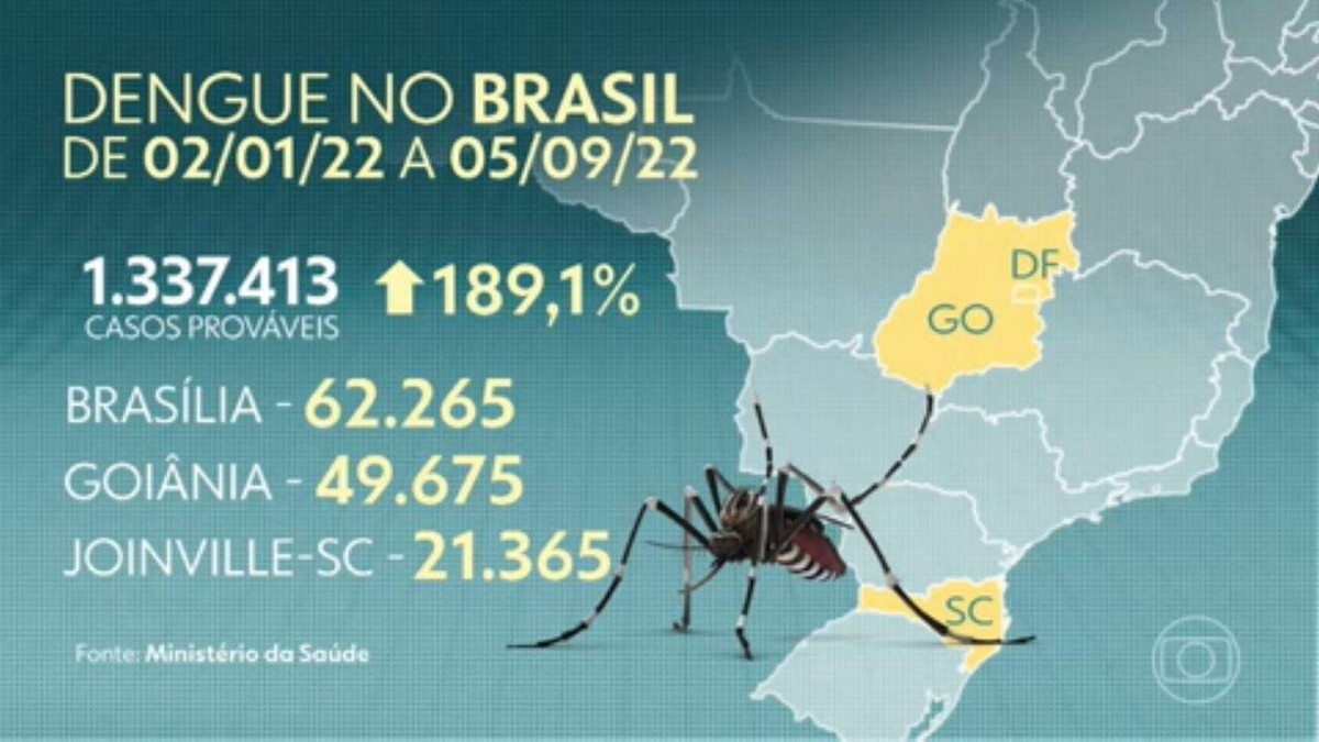 Número De Mortes No Brasil Por Dengue é Três Vezes Maior Que Em 2021 Jornal Hoje G1 