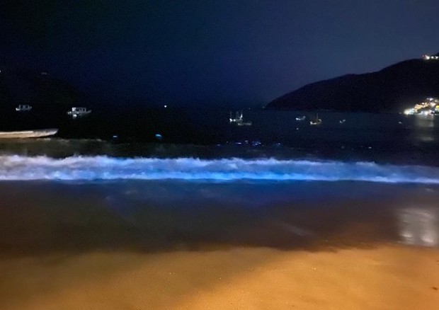 Praia no México aparece iluminada por fenômeno de planktons com quarentena (Foto: Reprodução/Instagram)