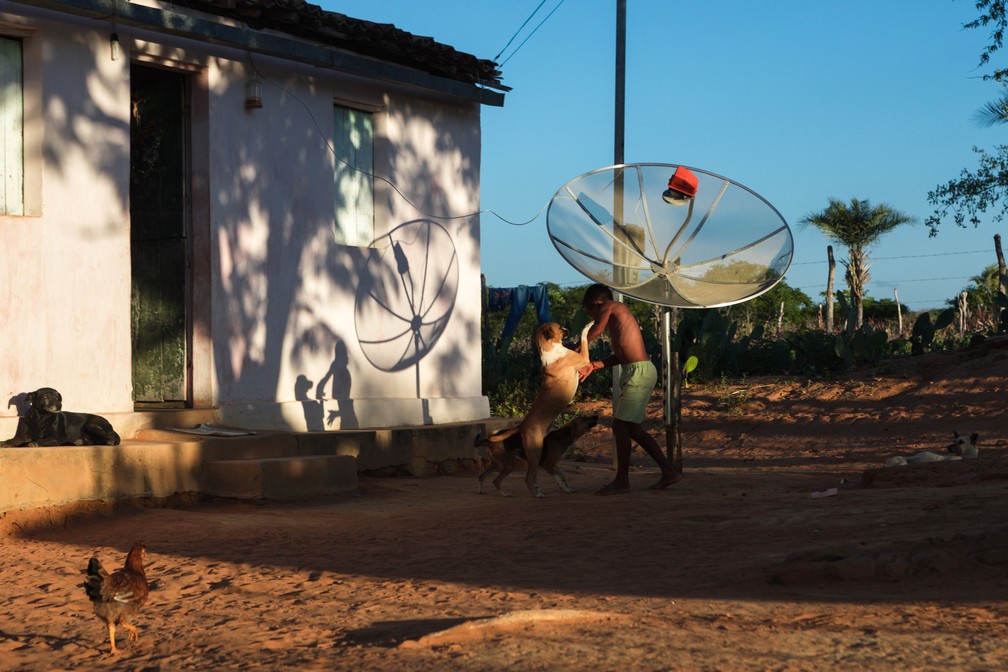 Uma criança brinca com cachorros em propriedade rural na região de Jeremoabo, no sertão da Bahia — Foto: Marcelo Brandt/G1
