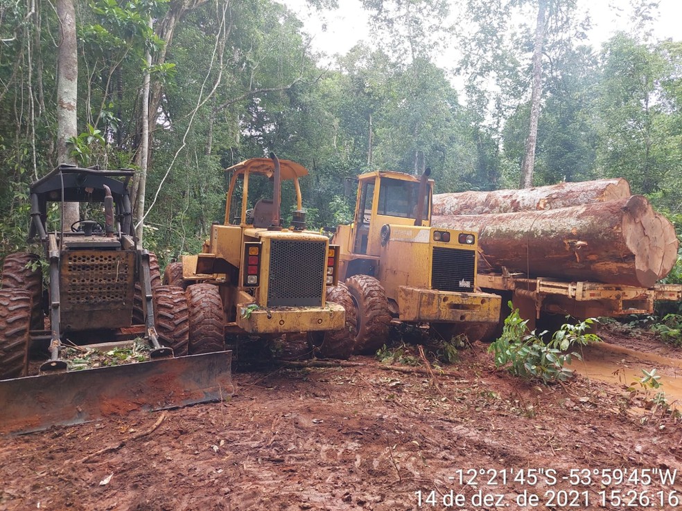 Ibama incendia maquinários que eram usados em exploração ilegal de madeira em MT — Foto: Ibama