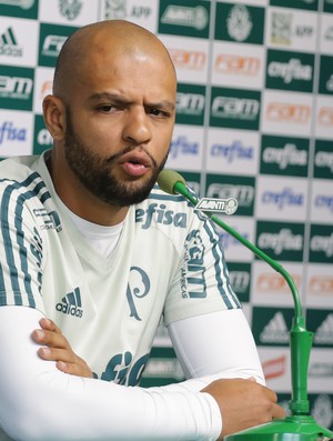 Flavio Canuto  Blog do Torcedor do Palmeiras