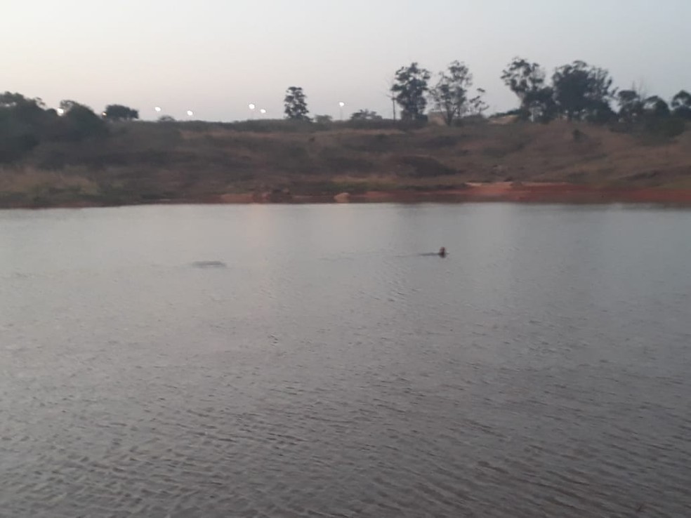 Lago em Santa Maria onde corpo de rapaz de 19 anos foi encontrado pelos bombeiros — Foto: CBMDF/Divulgação