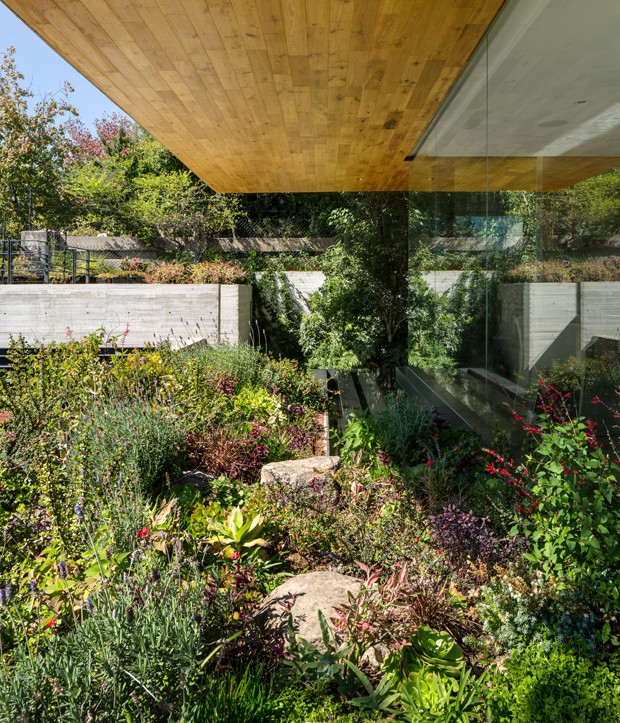 Casa contemporânea se conecta com jardins por todos os ambientes (Foto: Rafael Gamo/Divulgação)