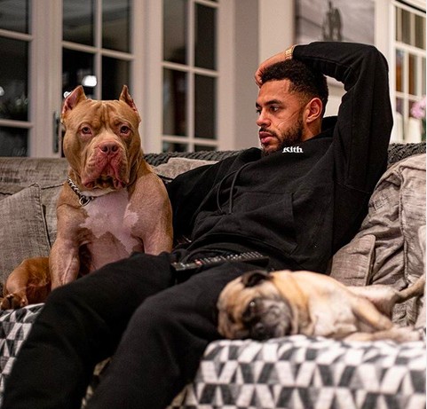 O jogador de futebol Andre Gray, namorado da cantora Leigh-Anne Pinnock, do Little Mix, com os dois cachorros deles (Foto: Instagram)