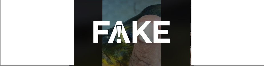 Ã‰ #FAKE que haja mais de 400 casos de doenÃ§a causada pelo consumo de tucunarÃ© no Brasil