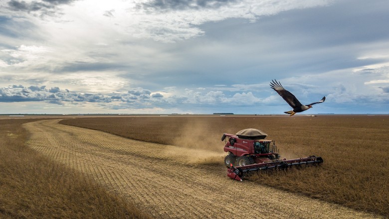 caminhos da safra - soja - porto - rodovia - máquinas agrícolas - bahia  (Foto: Fellipe Abreu/Editora Globo)