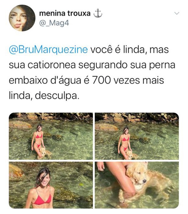 Cachorrinha Amora vira sensação nas redes (Foto: Reprodução/ Twitter)