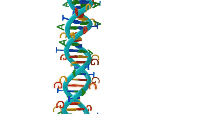 Às vezes ocorrem erros ou interferências que causam mutações no DNA (Foto: Reprodução/Youtube TED-Ed)
