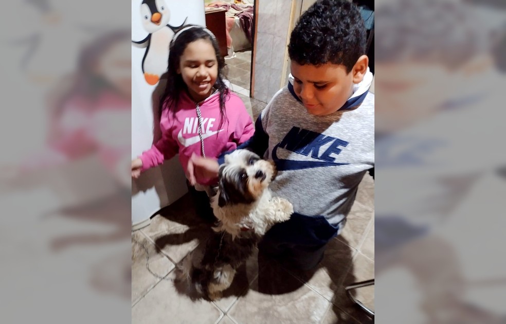 Após 'viajar' quase 600 km, cão retorna aos donos 15 dias depois de se perder em rodovia de Bauru — Foto: Arquivo pessoal