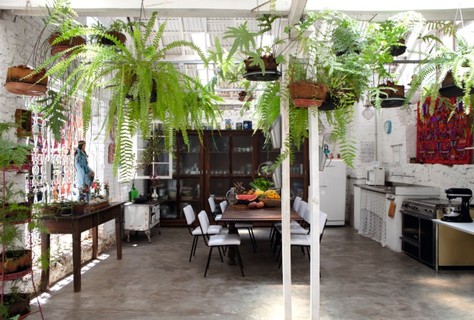 Na cozinha instalada em um antigo galpão, o telhado original de telhas translúcidas permite o cultivo de plantas, como as diversas espécies de samambaia