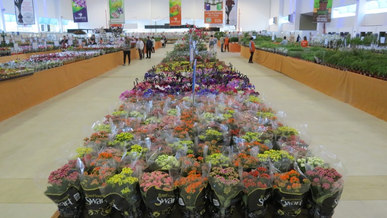 shopping-das-flores-expoflora (Foto: Teresa Raquel Bastos/Ed. Globo)