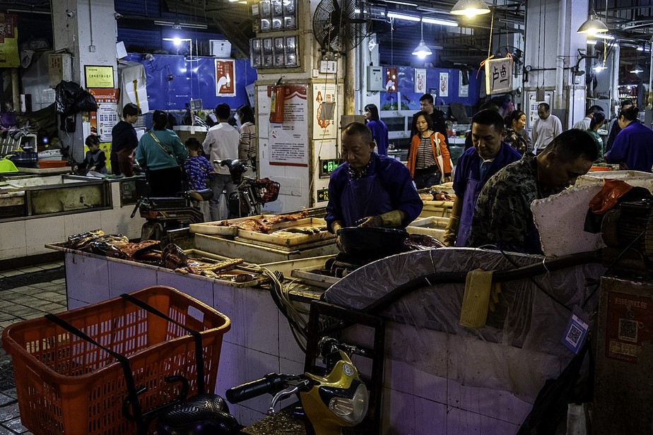 Estudo analisou mostras de superfícies coletadas no início de 2020 no Mercado Atacadista de Pescados de Wuhan