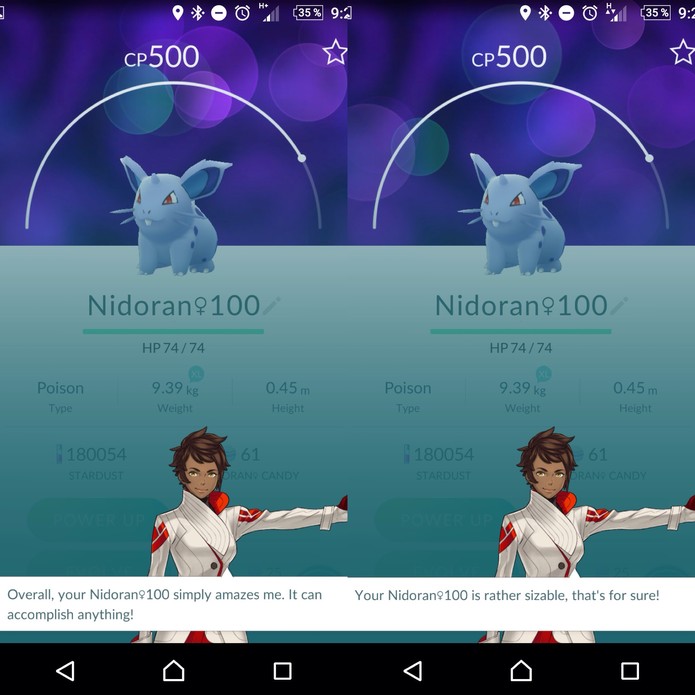 Novo sistema Pokémon Appraisal permite calcular IV no jogo (Foto: Reprodução/Reddit)