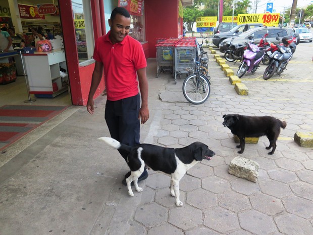Emerson ajuda a cuidar dos cães no mercado (Foto: Orion Pires/G1)