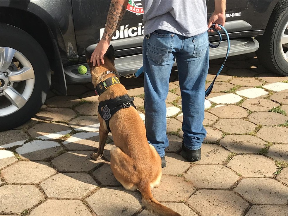 O investigador divide a rotina de trabalho com a cachorra de estimação dele, a cachorra Atena — Foto: Gabrielle Gabas/TV TEM
