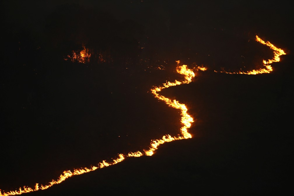 Incêndio consome parte do Parque Juquery em Franco da Rocha, Grande São Paulo, em 23 de agosto de 2021 — Foto: Carla Carniel/Reuters