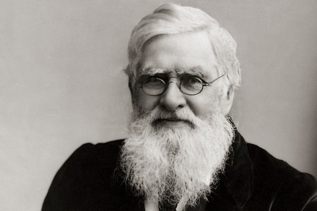 Resultado de imagem para alfred russel wallace