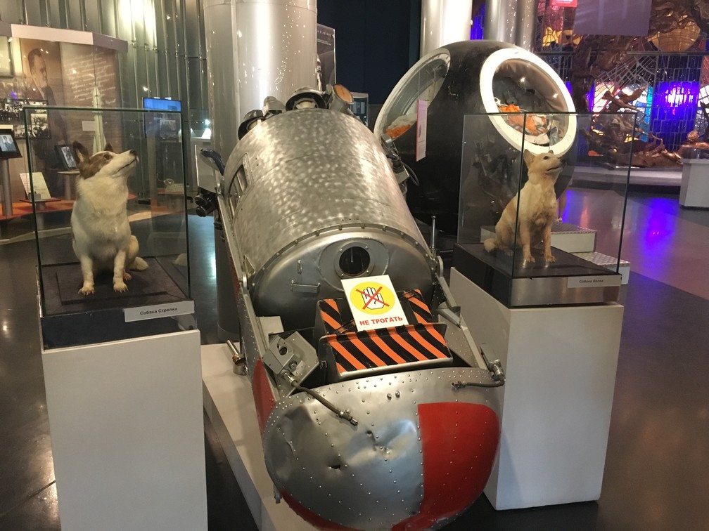 Cadelas Belka e Strelka têm esculturas próprias no museu. (Foto: G1/ Adriane Schultz)