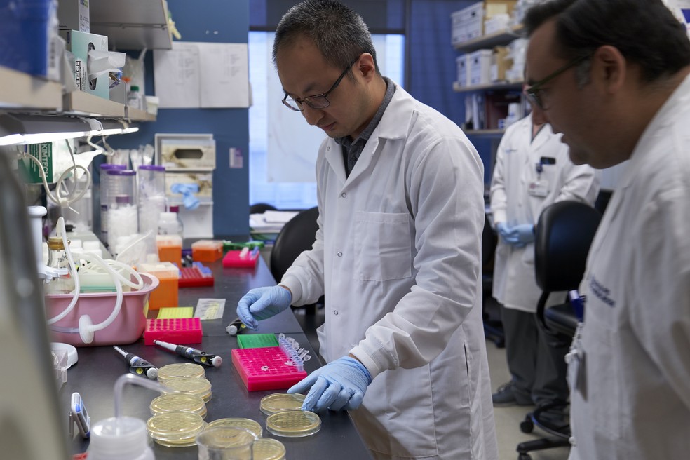 Na foto, cientistas do Hospital Houston Methodist, no Texas, trabalham em testes com plasma convalescente para pacientes com Covid-19, a doença causada pelo novo coronavírus (Sars-CoV-2). — Foto: Houston Methodist